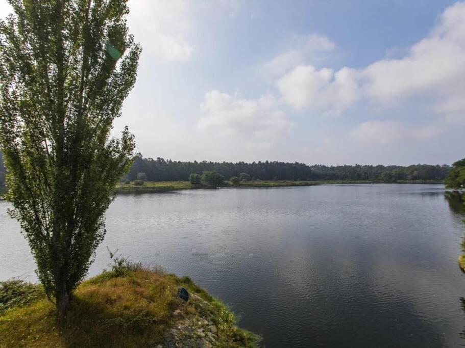 Quinta Da Barca House - Nada Melhor Que Juntar Luxo A Lazer Com Mar E Rio! Esposende Dış mekan fotoğraf